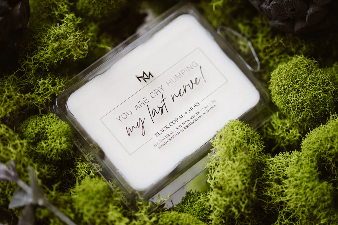 Black Coral + Moss Candle - Image 6